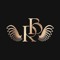 Dj rB