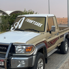 عامر العامري