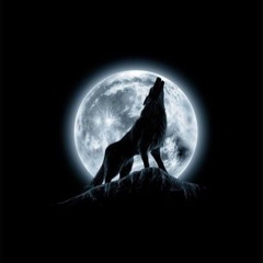 𝚡𝚟𝚖𝚘𝚘𝚗