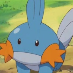 Mudkip