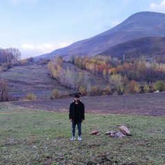 Ali reza