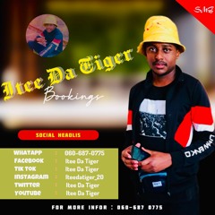 Itee Da Tiger