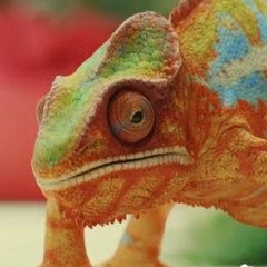 Cam The Chameleon