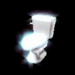 🚽 polish toilet 🇵🇱