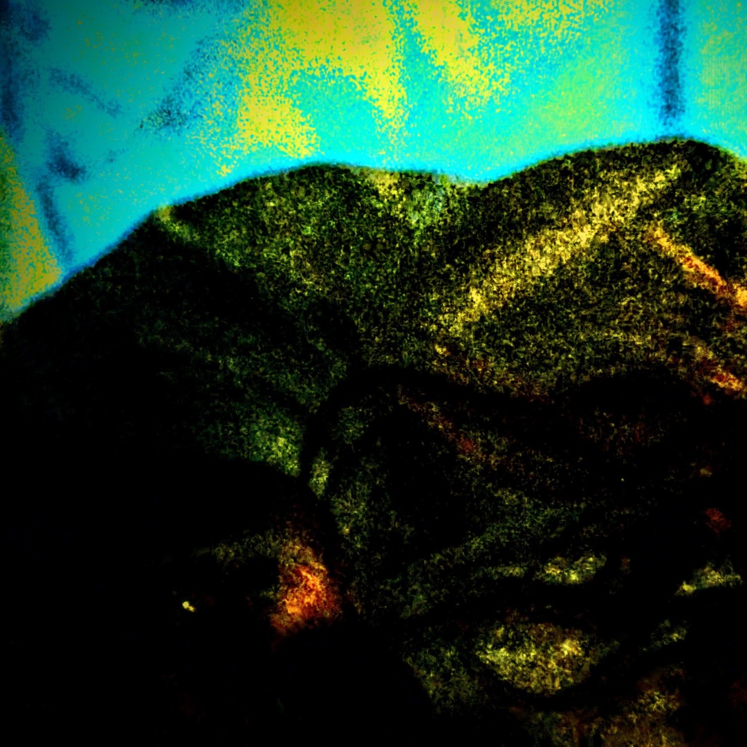 Pets of Belonging’s avatar