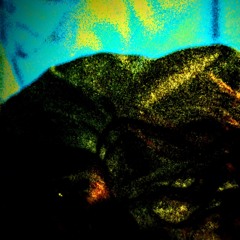 Pets of Belonging