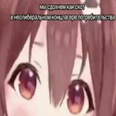 vasiliy