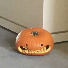 ㅈㅅㅎ