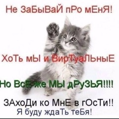 彡 彡
