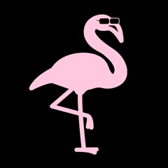 Flamingo Road
