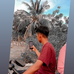 aliandokkooo