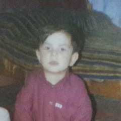 Fahim Alakozay