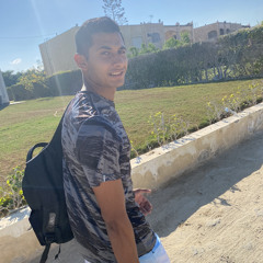 Ahmed Homouda