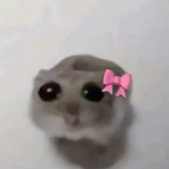 assbldj