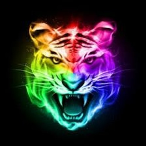 Tiger’s avatar