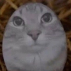 Wait I'm Egg