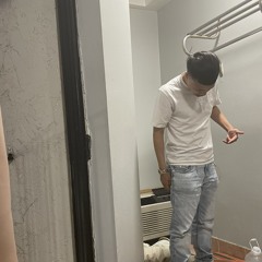 Dtreezy