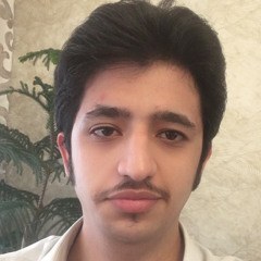 mohamadamin modaresi