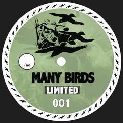Many Birds Records
