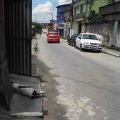 Surtadoo da Vila