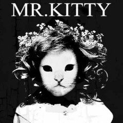 Mr. Kitty