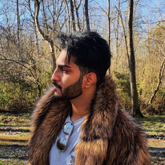 Amir Shahrokhi