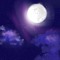 moon 🌑