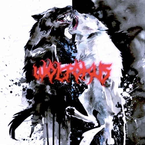 Wolfokus’s avatar