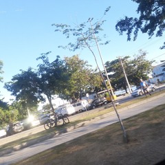 DiFreitas12