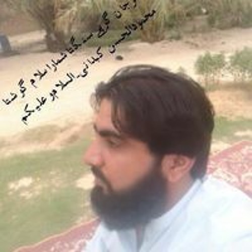 H Mahmood Kubdani’s avatar