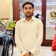 چوہدری محمد علی