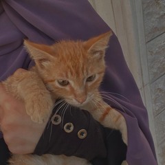 أُسوَة