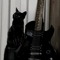 Metalarticus
