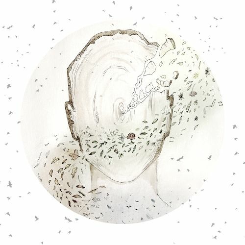 8 - Chauve-souris argentée (Lasionycteris noctivagans) - ralenti 5 fois