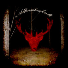 ##wildhuntezzkult
