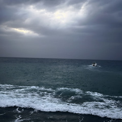 شَهْد