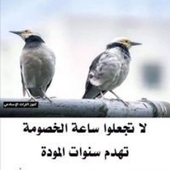 وائل حسان