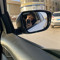 Mohamed محمد