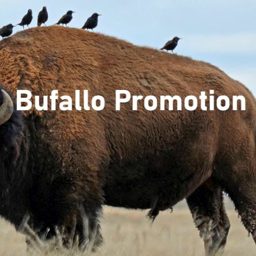Buffalo Promotion’s avatar