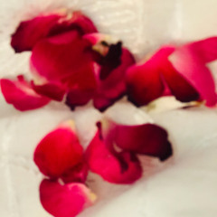 tooba shabbir