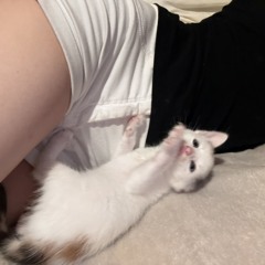 #️⃣Zv3tenieRakaVLehkih🥀