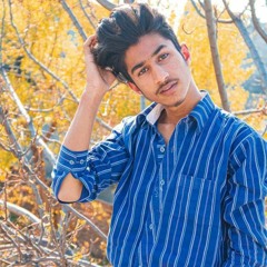 Kaleem Saikhu