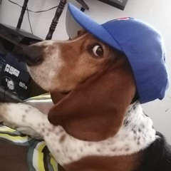 Juanin mushroom
