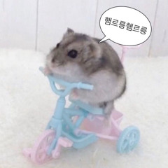 윤