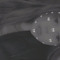 chantelle and Kamilla Remixes