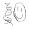 DNA Nice