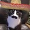 pablo