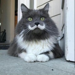 Fred
