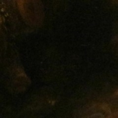 User 118601475