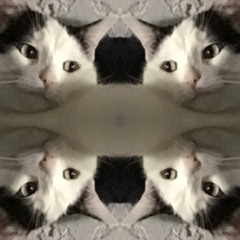 AJA Kinson / Juicy Tuesday Productions